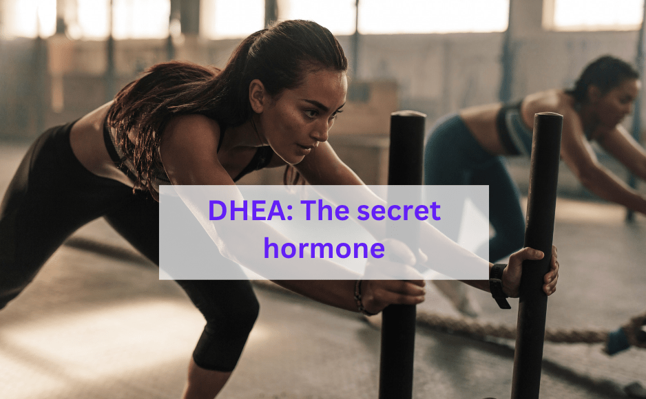 DHEA: One of the Most Important Hormones No One Talks&nbsp;About